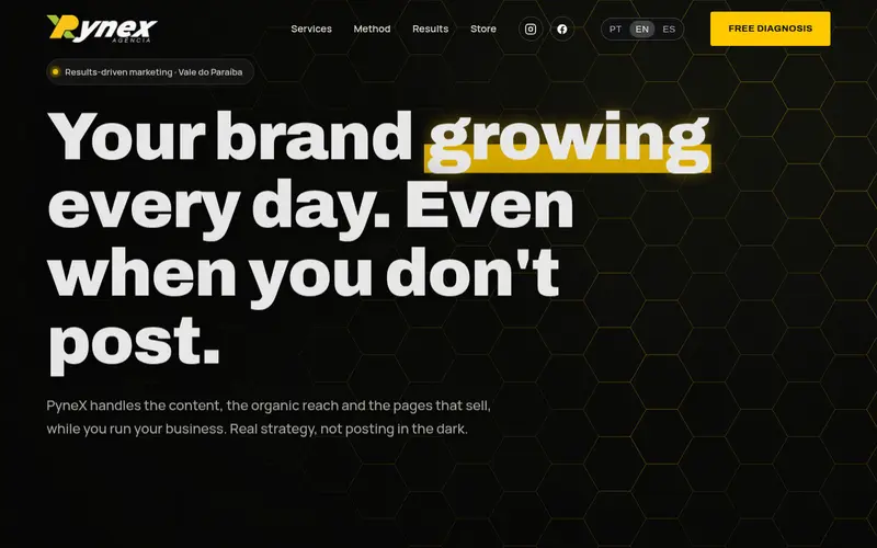Site PyneX Agência